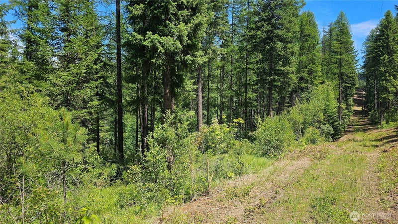 432 Bussard Lake Road