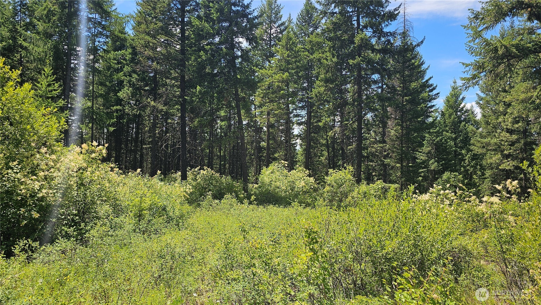 432 Bussard Lake Road