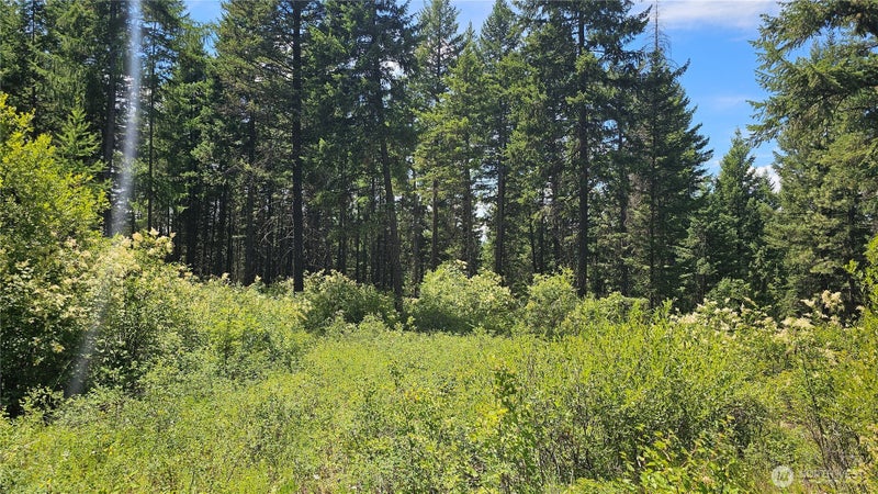 432 Bussard Lake Road