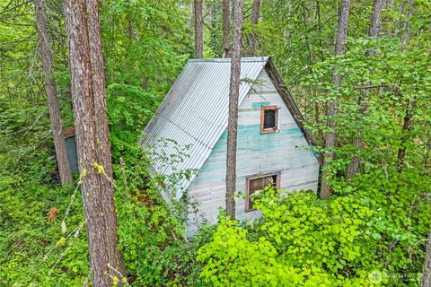 Photo of 432 X Bussard Lake Road, Loon Lake, WA 99148 (MLS # 2549821)