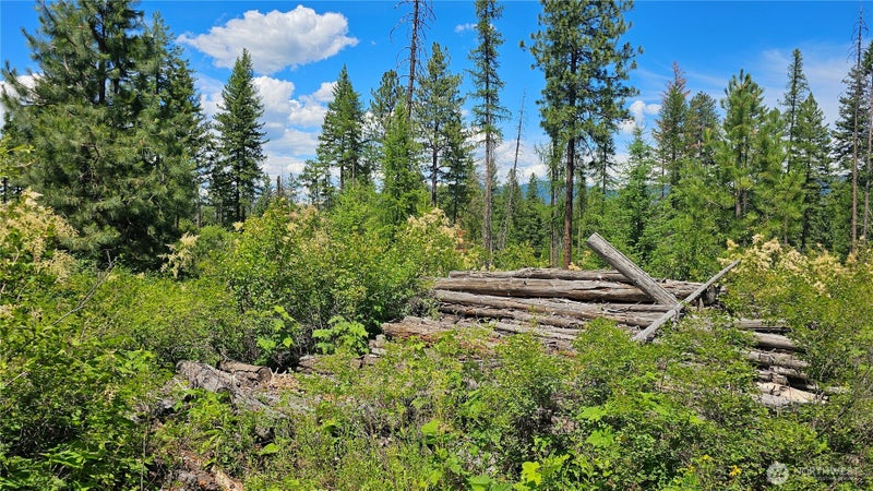 432 Bussard Lake Road