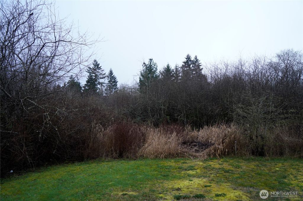 Photo of 803 112th Street E, Tacoma, WA 98445 (MLS # 2508455)