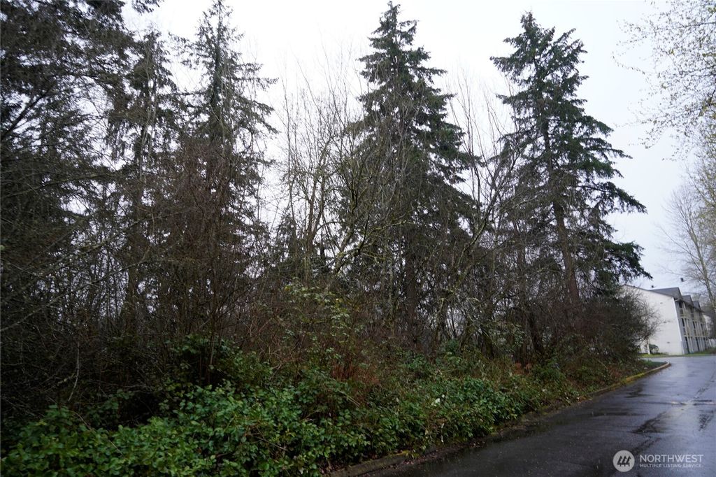 Photo of 803 112th Street E, Tacoma, WA 98445 (MLS # 2508455)