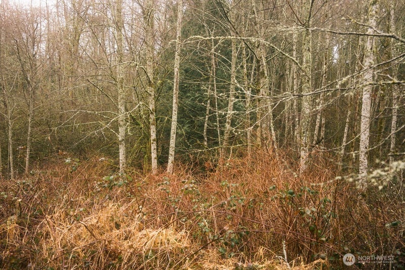 0 Princeton Court