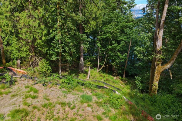 7095 WILSON CREEK RD SE, PORT ORCHARD, WA 98367 - Image 8968d9f75dfacfc0bb17fb1f3507c365/277009672