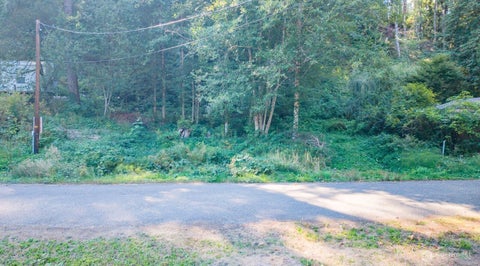 Featured picture for the property 2580324