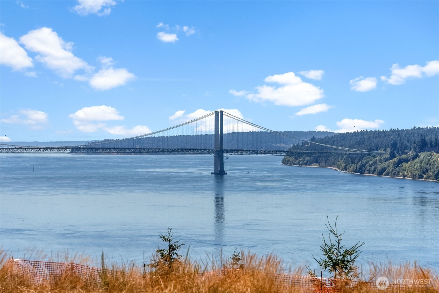 4806 N Mildred Street