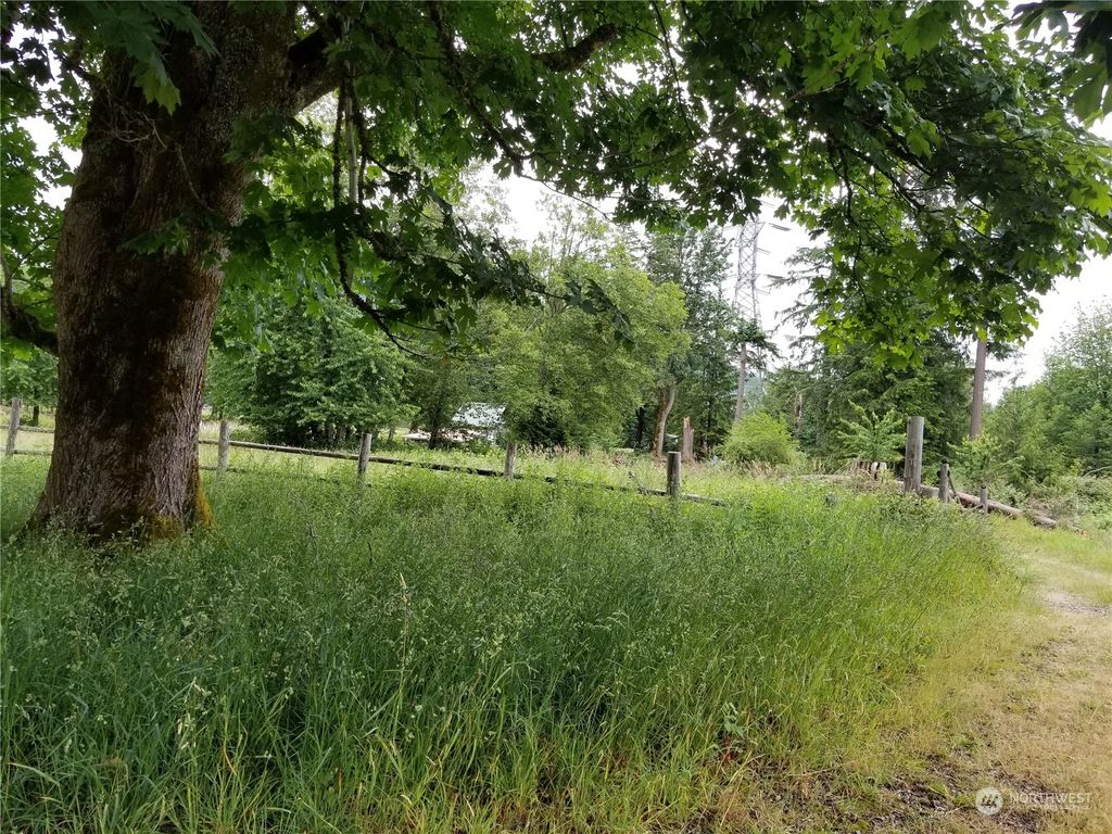 Photo of 339 XX SE 263rd, Ravensdale, WA 98051 (MLS # 2014334)