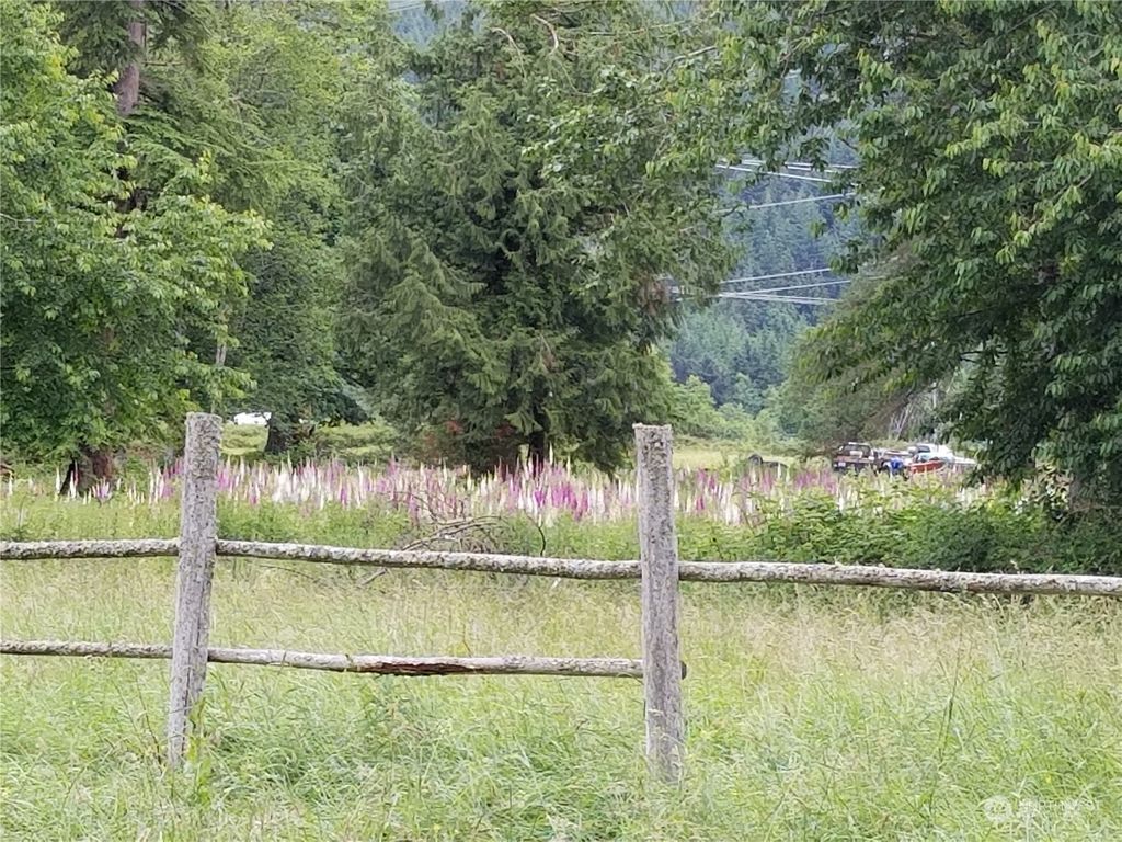 Photo of 339 XX SE 263rd, Ravensdale, WA 98051 (MLS # 2014334)