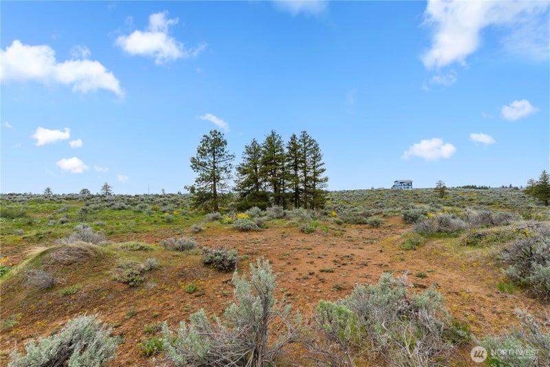 207 Falcon Ridge Road