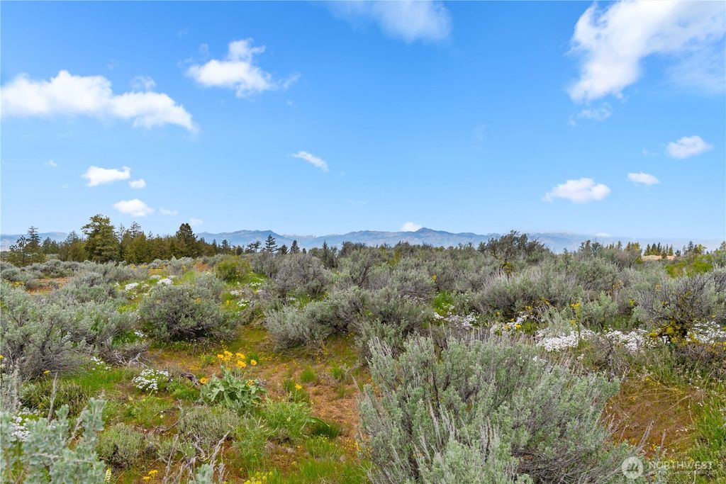 Photo of 207 Falcon Ridge Road, East Wenatchee, WA 98802 (MLS # 2504383)