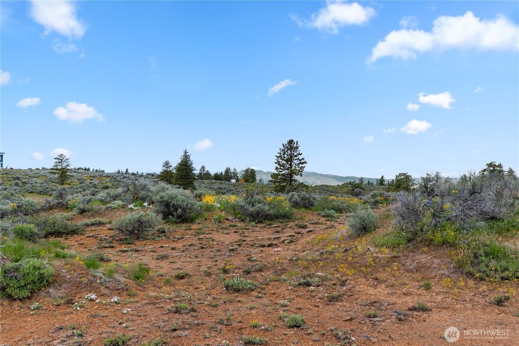 Photo of 207 Falcon Ridge Road, East Wenatchee, WA 98802 (MLS # 2504383)