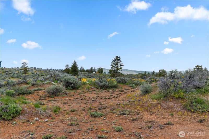 207 Falcon Ridge Road