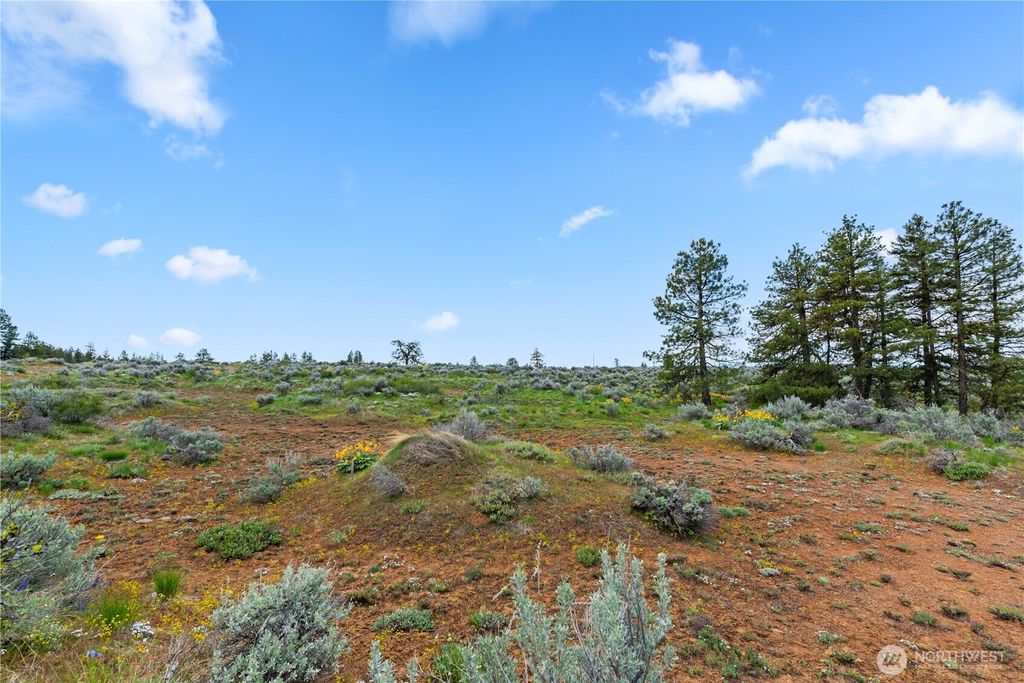 Photo of 207 Falcon Ridge Road, East Wenatchee, WA 98802 (MLS # 2504383)