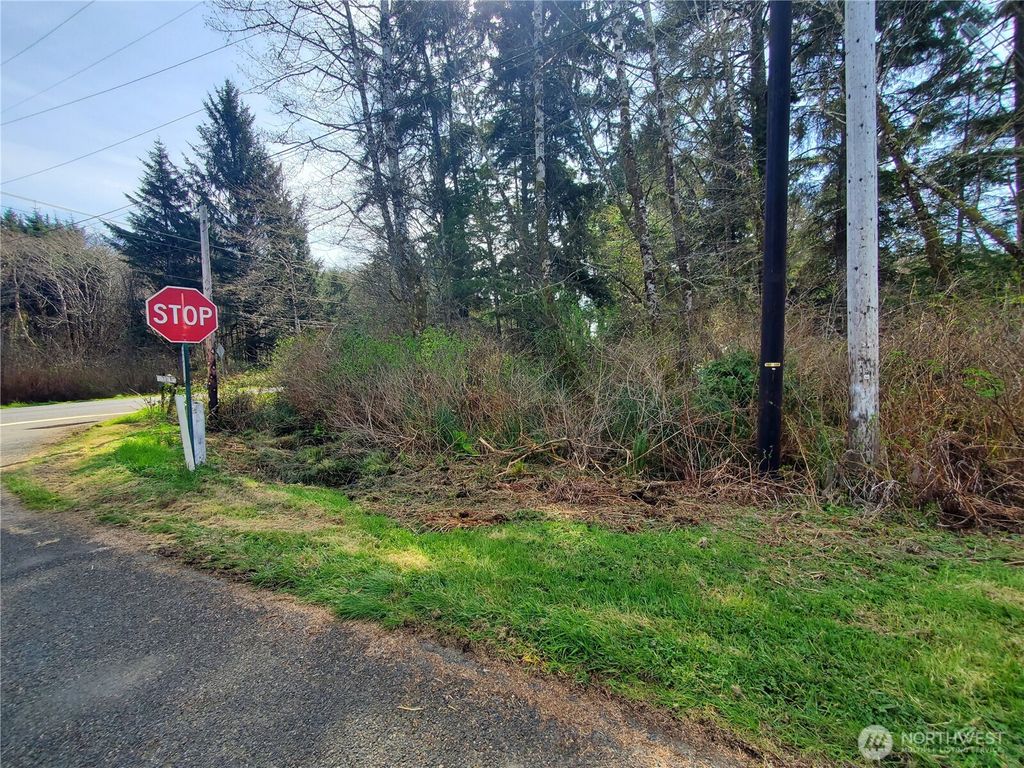 Photo of 0 SR 109, Copalis Beach, WA 98535 (MLS # 2499292)