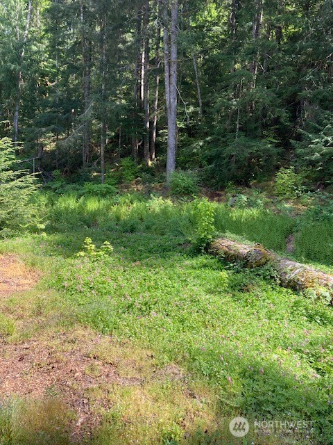61 N Goldeneye Place