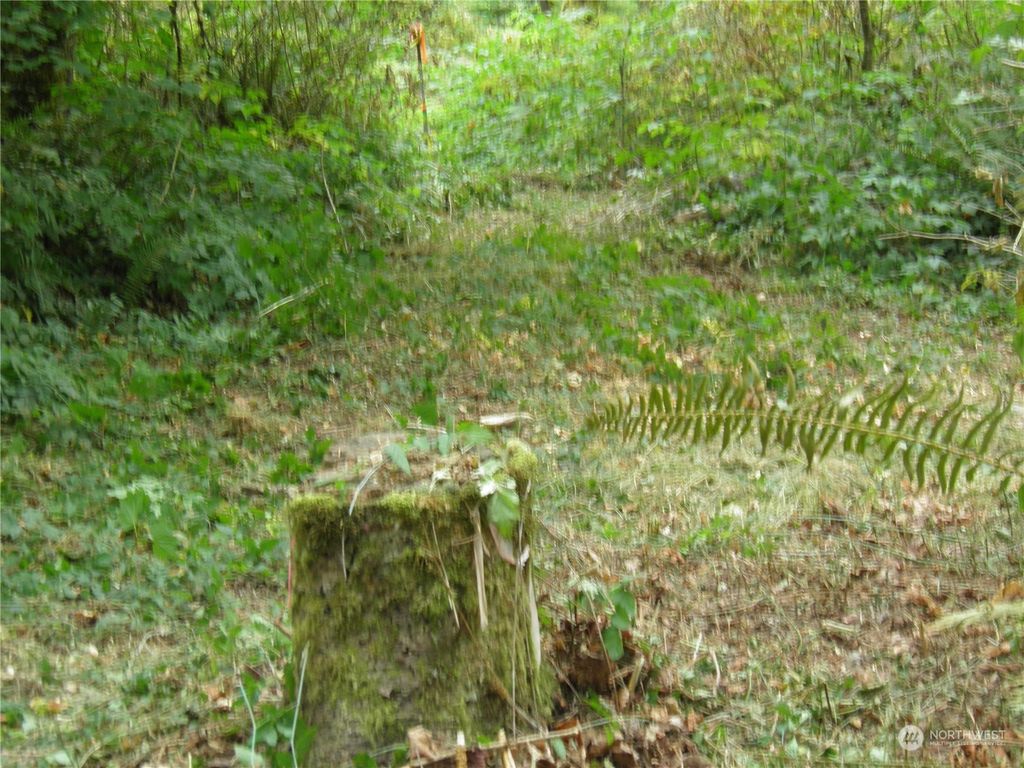 Photo of 1110 350th Avenue SE, Snoqualmie, WA 98065 (MLS # 2194293)