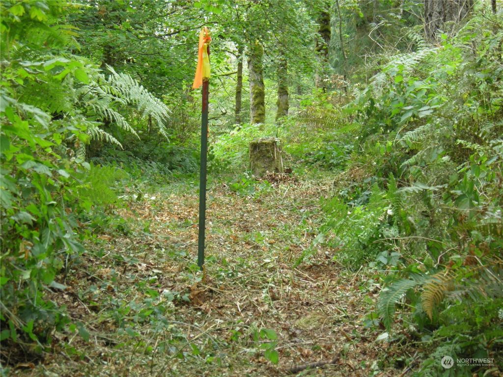 Photo of 1110 350th Avenue SE, Snoqualmie, WA 98065 (MLS # 2194293)