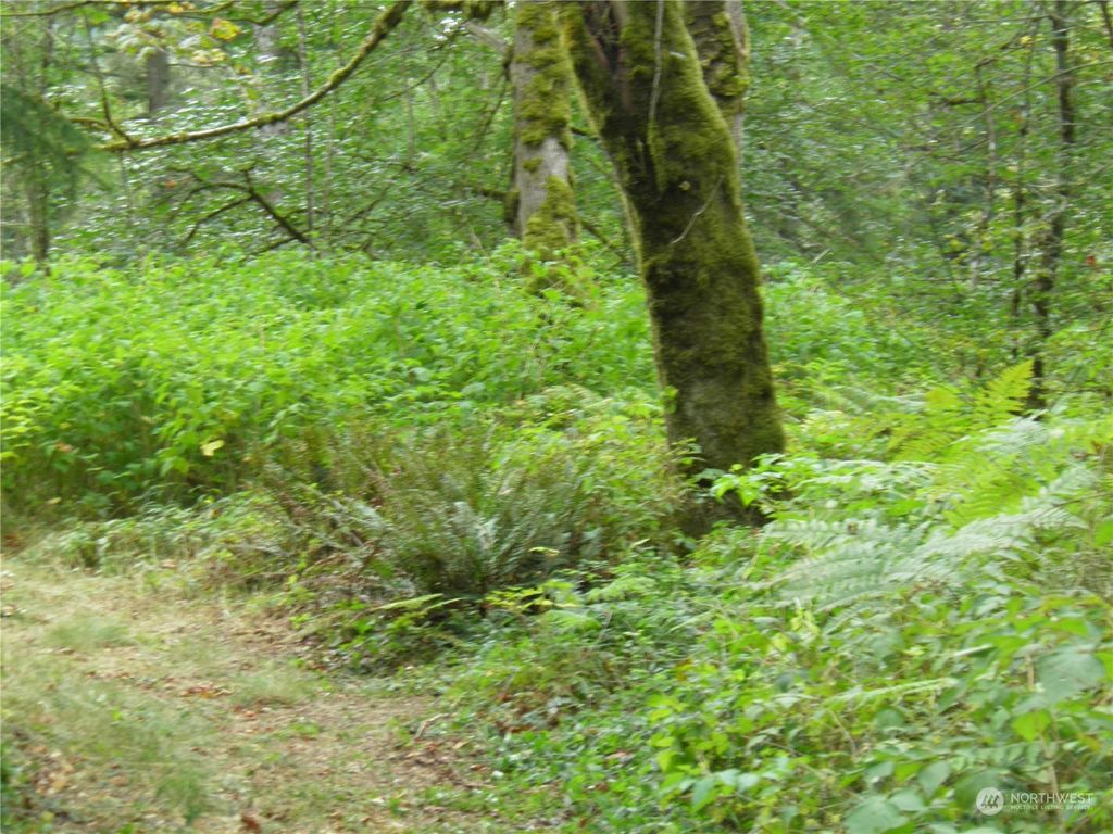 Photo of 1110 350th Avenue SE, Snoqualmie, WA 98065 (MLS # 2194293)