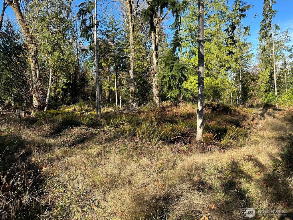 Photo of 4 Lots Lilypad Place E, Port Orchard, WA 98366 (MLS # 2469777)