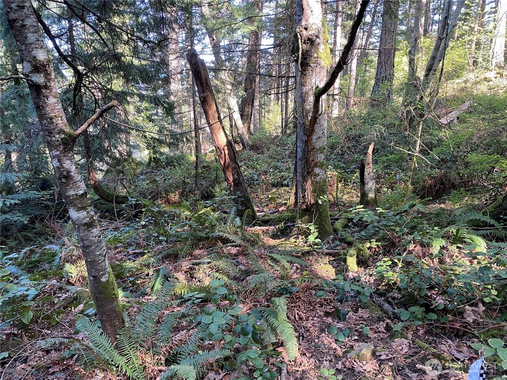 Photo of 2861 Aiston Creek Rd Rd, Lummi Island, WA 98262 (MLS # 2585126)