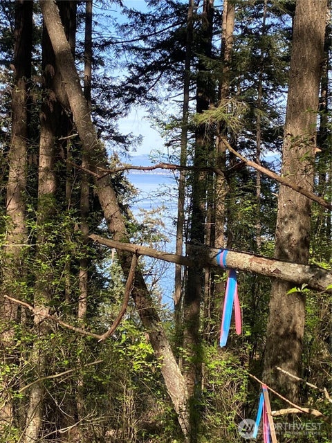Photo of 2861 Aiston Creek Rd Rd, Lummi Island, WA 98262 (MLS # 2585126)