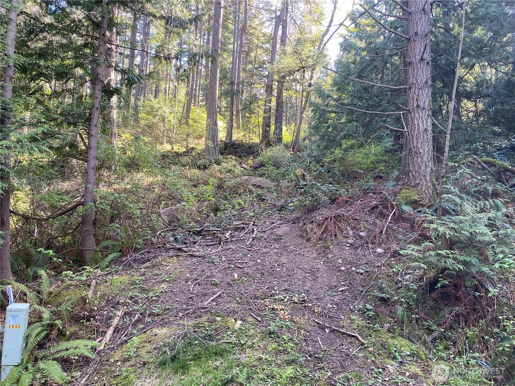 Photo of 2861 Aiston Creek Rd Rd, Lummi Island, WA 98262 (MLS # 2585126)