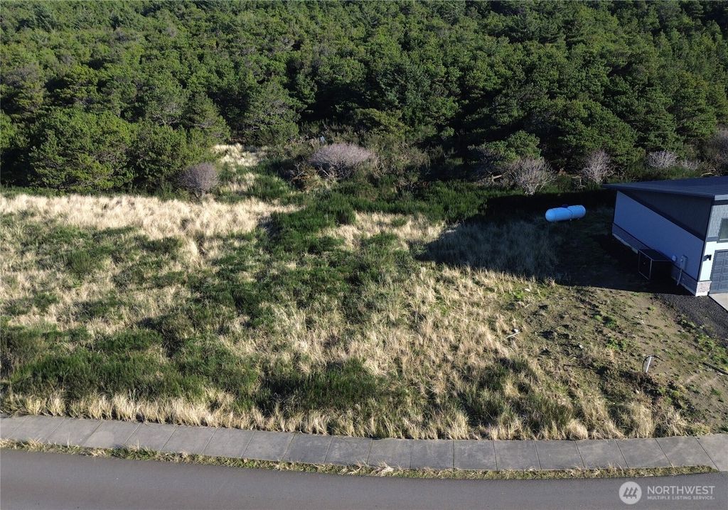 Photo of 1332 Cohasset Crest N, Westport, WA 98595 (MLS # 2463884)