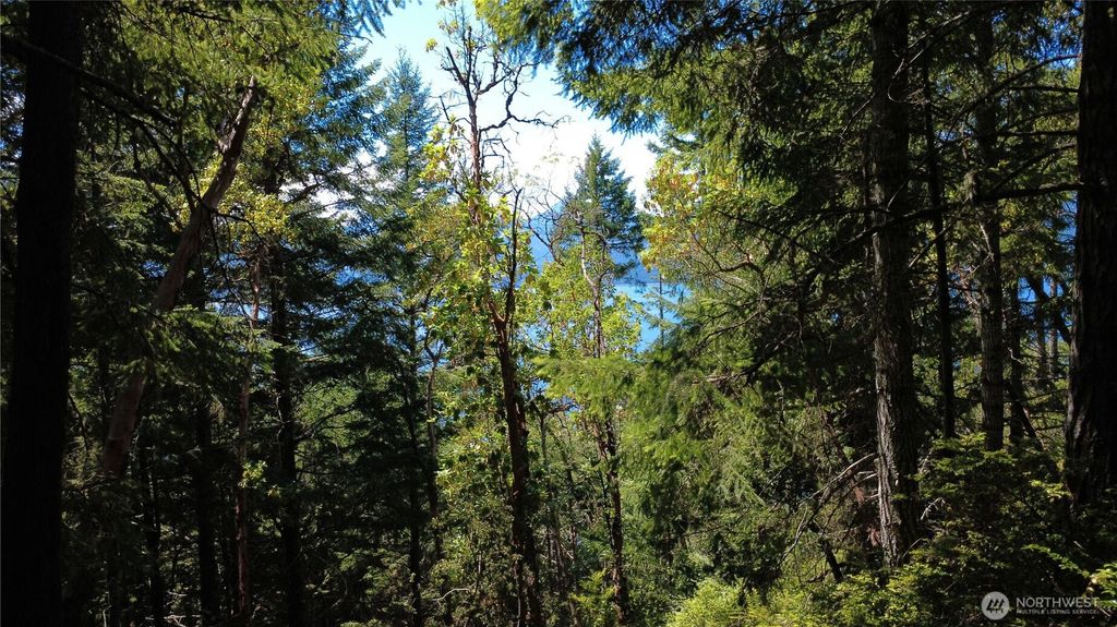 Photo of 1 xxxx Foxglove Lane, Quilcene, WA 98376 (MLS # 2542380)