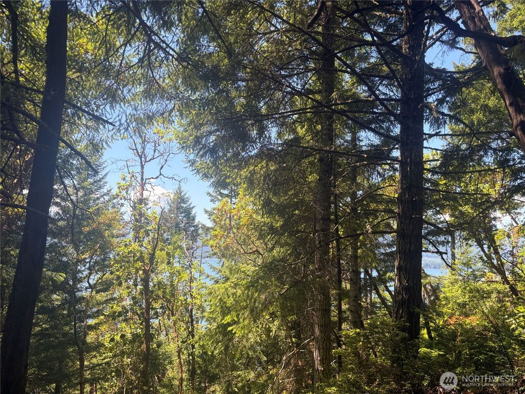 Photo of 1 xxxx Foxglove Lane, Quilcene, WA 98376 (MLS # 2542380)