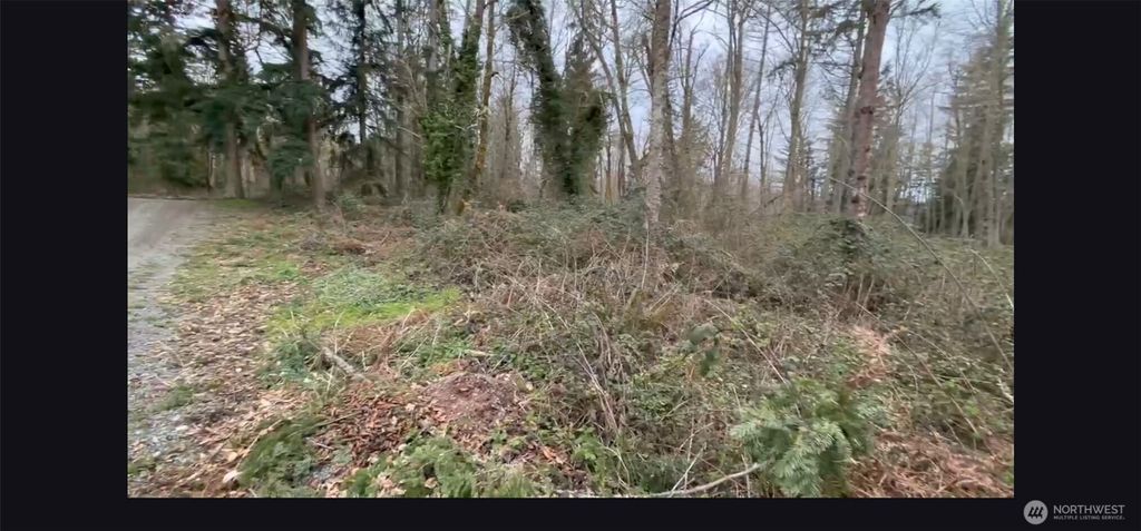 Photo of 37116 E 103rd Avenue Ct, Eatonville, WA 98328 (MLS # 2498081)