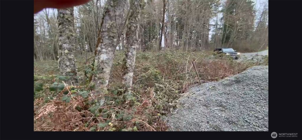 Photo of 37116 E 103rd Avenue Ct, Eatonville, WA 98328 (MLS # 2498081)