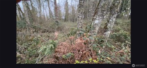 37116 E 103rd Avenue Ct Eatonville WA 98328