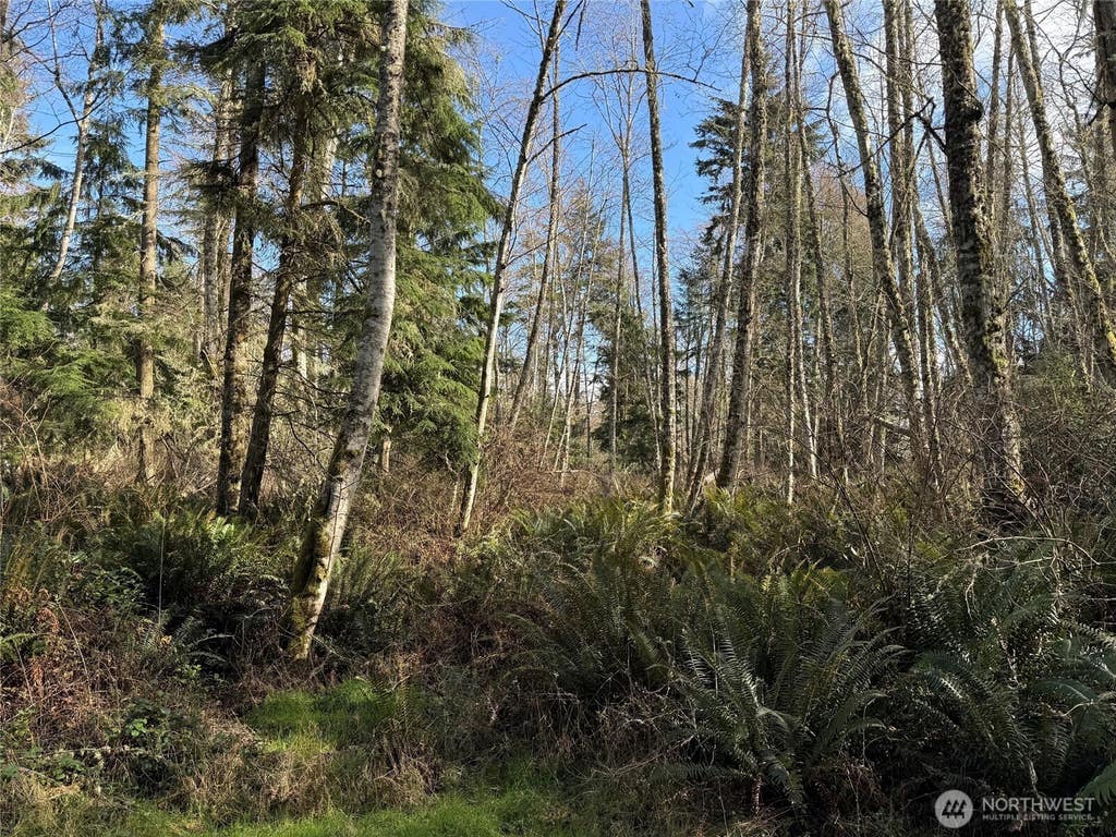 Photo of 1 XXX Christenson Road, Greenbank, WA 98239 (MLS # 2549200)
