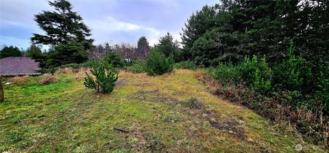 Photo of 30514 K Place, Ocean Park, WA 98640 (MLS # 2465128)