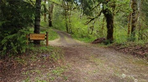 Photo of 50 N Canvasback Place, Hoodsport, WA 98548 (MLS # 2445266)