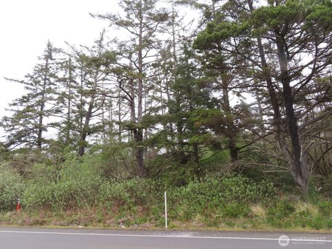 0 State Route 105 Grayland WA 98547