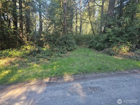3 E Sunset Hill Road N Shelton WA 98584