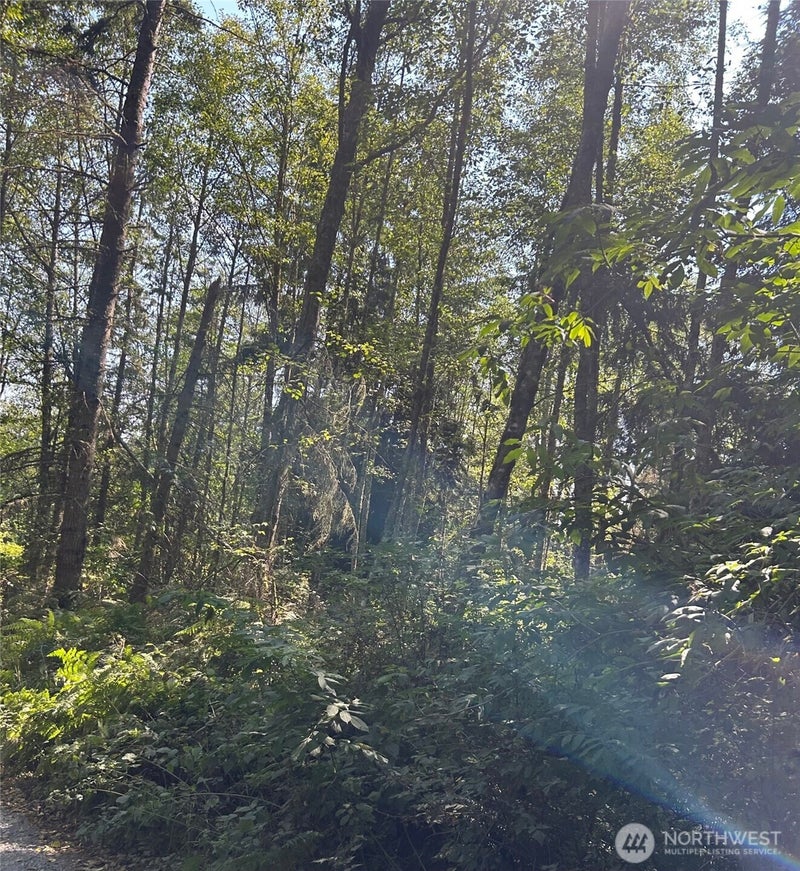 0 Forest View Lane