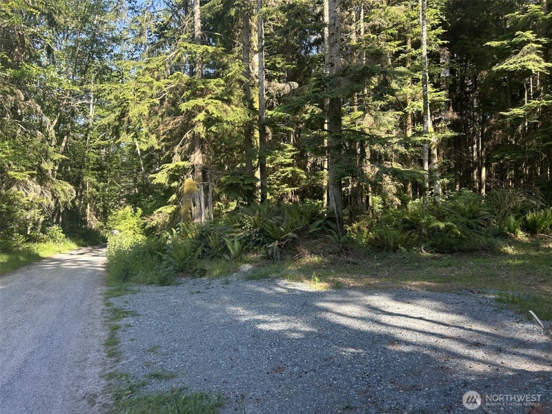 0 Forest View Lane
