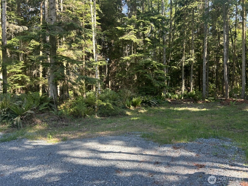 0 Forest View Lane
