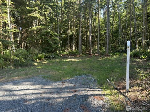 Photo of 0 xxx Forest View Lane, Greenbank, WA 98253 (MLS # 2486765)