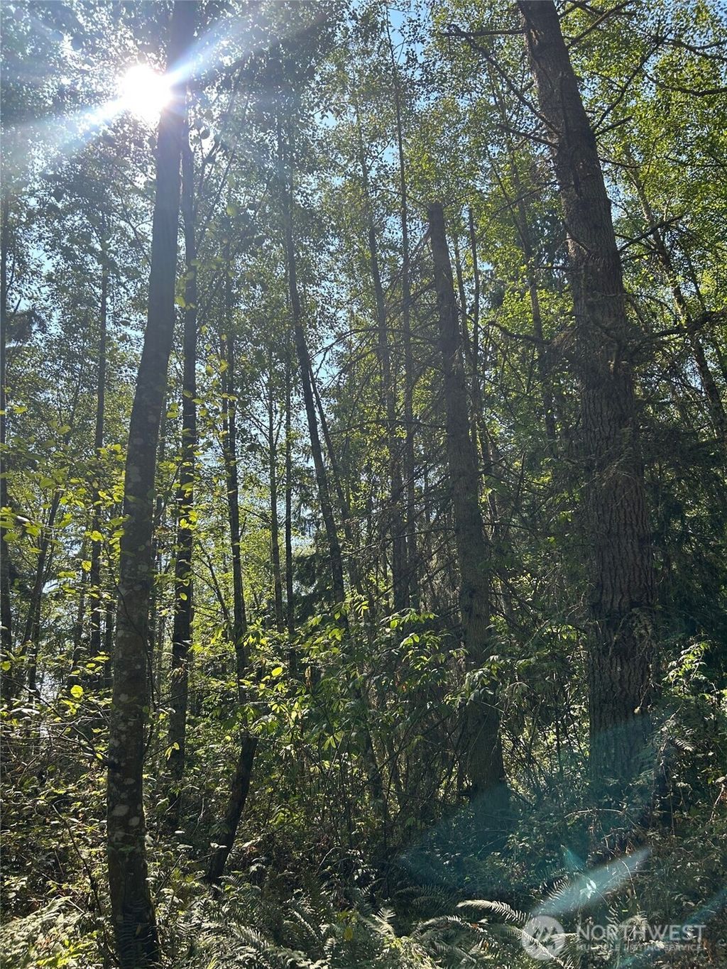 Photo of 0 xxx Forest View Lane, Greenbank, WA 98253 (MLS # 2486765)