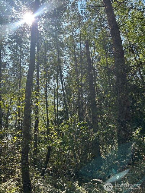 0 Forest View Lane Greenbank WA 98253