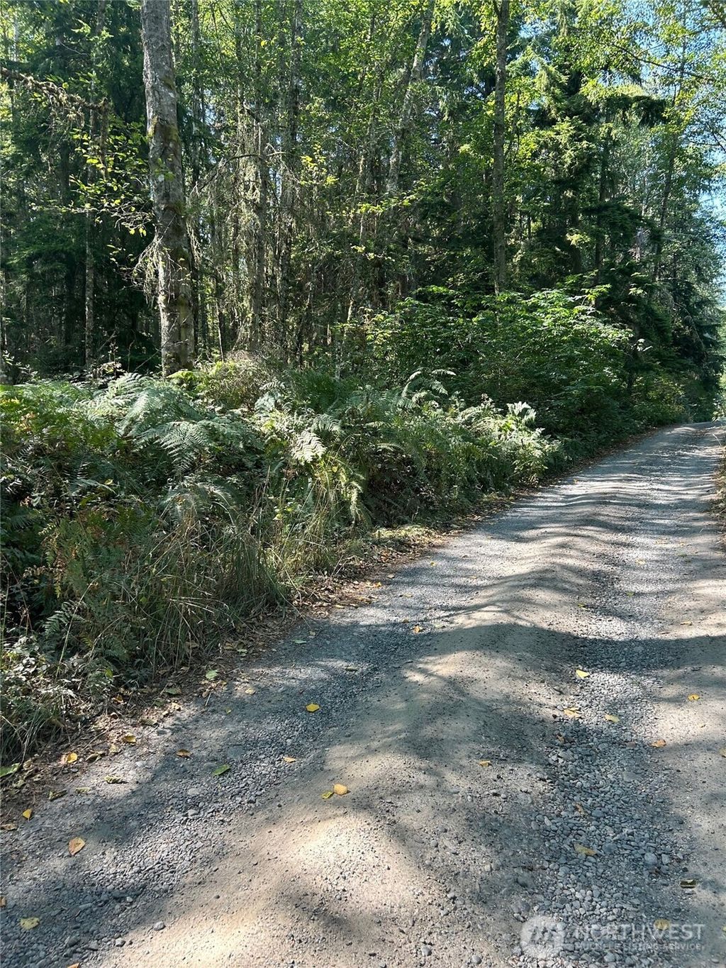 Photo of 0 xxx Forest View Lane, Greenbank, WA 98253 (MLS # 2486765)