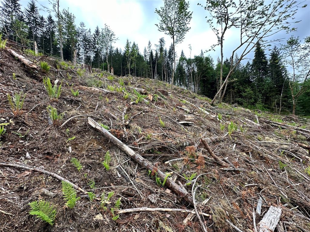 Photo of 0 S Carpenter Road, Snohomish, WA 98280 (MLS # 2521127)