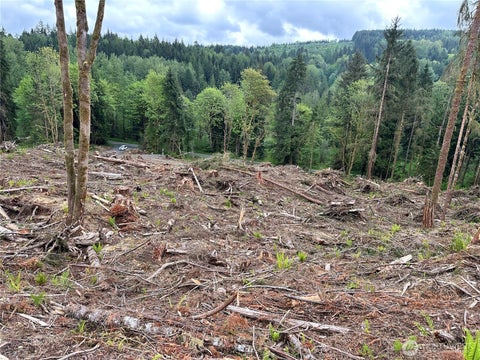Photo of 0 S Carpenter Road, Snohomish, WA 98280 (MLS # 2521127)
