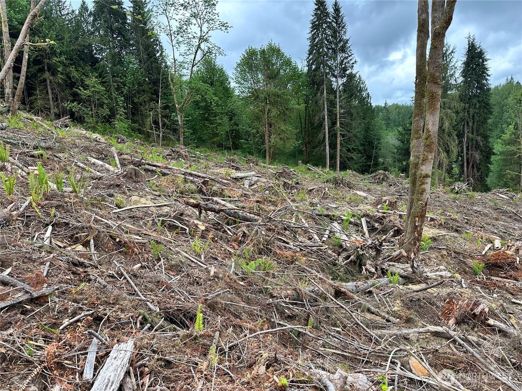 Photo of 0 S Carpenter Road, Snohomish, WA 98280 (MLS # 2521127)