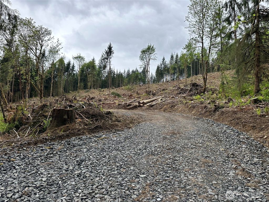 Photo of 0 S Carpenter Road, Snohomish, WA 98280 (MLS # 2521127)