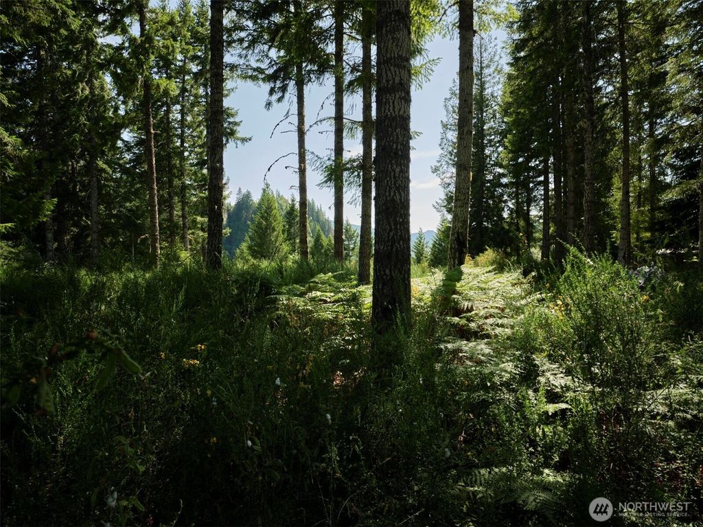 Photo of 0 Phyllis Ann Block Court, Cougar, WA 98616 (MLS # 2497198)